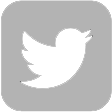 Twitter Icon